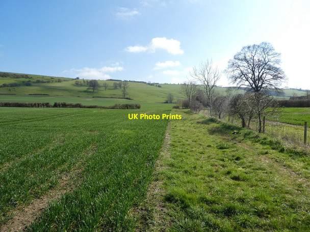 Photo 6"x4" Bridleway to Corton Denham Girt c2021 P1