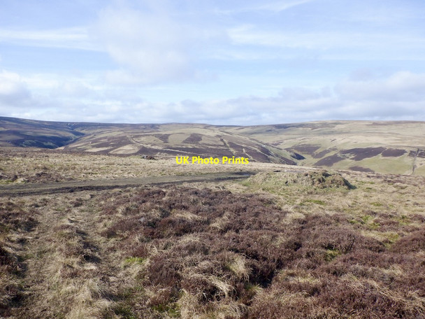 Photo 6"x4" Grouse butt, Blackside Rig Hope Burn\/NT3350 c2021