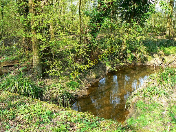 Photo 6"x4" The Bridge on the River Key Green Hill\/SU0686 c2009