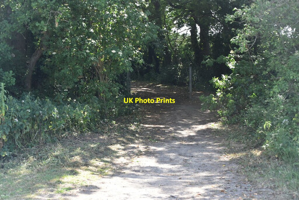 Photo 6"x4" Byway (Whiteing Lane) Caneheath c2020
