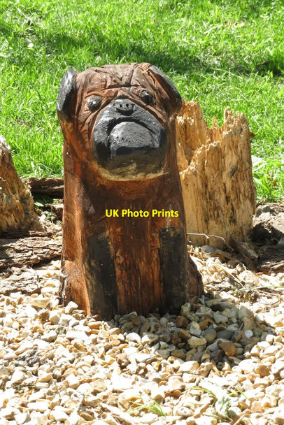 Photo 6"x4" I don't bite! Rothwell\/SE3428 c2020