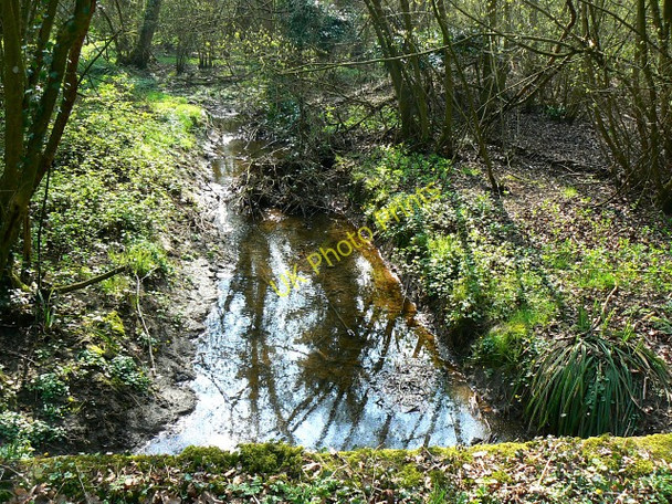 Photo 6"x4" The River Key, Battlelake Plantation Green Hill\/SU0686 c2009