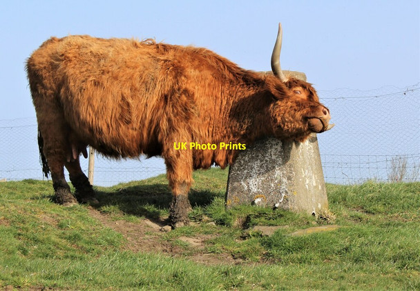 Photo 6"x4" Trig Point in use Stocksbridge c2021