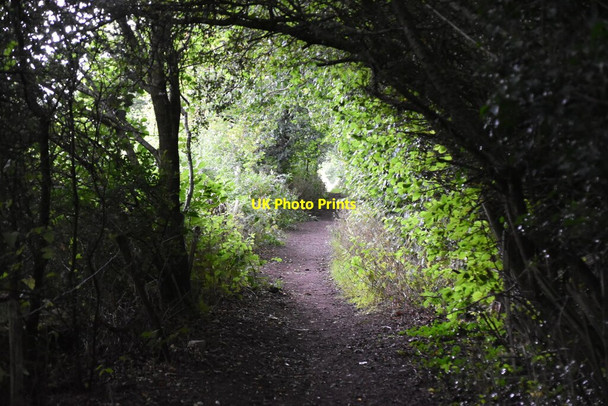 Photo 6"x4" Bridleway passing Cherry Wood Golf Course Aperfield c2020