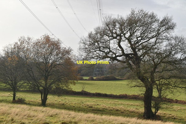 Photo 6"x4" Trees, pylon and farmland Alvanley c2019
