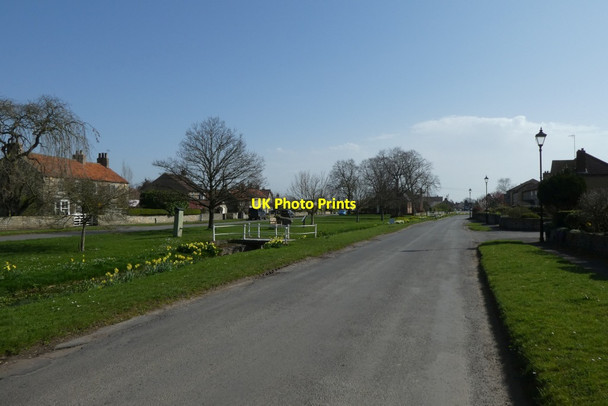 Photo 6"x4" Looking along Meadow Lane Snape\/SE2684 c2021