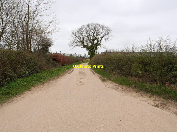 Photo 6"x4" Restricted Byway Lyngate\/TG3026 c2021