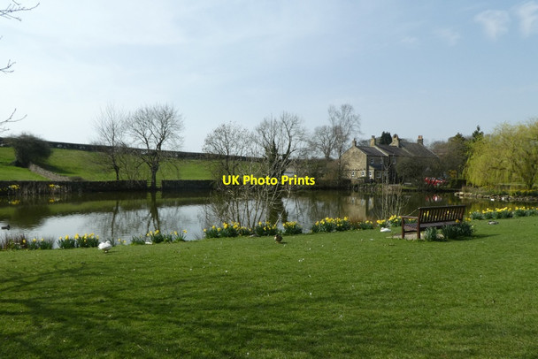 Photo 6"x4" Duck pond in Grewelthorpe Grewelthorpe c2021