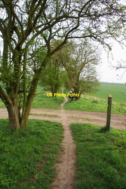 Photo 6"x4" Bridleway Up Coploe Hill Great Chesterford c2021