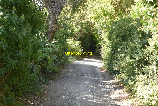 Photo 6"x4" Byway to Burham Burham c2020