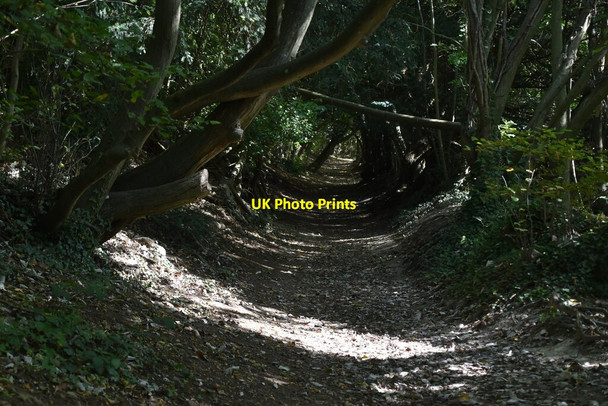 Photo 6"x4" Byway to Common Rd Blue Bell Hill c2020