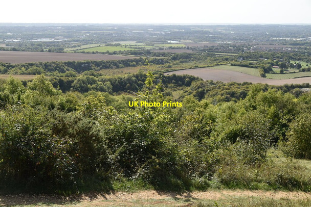 Photo 6"x4" Disused chalk quarry Eccles\/TQ7360 c2020