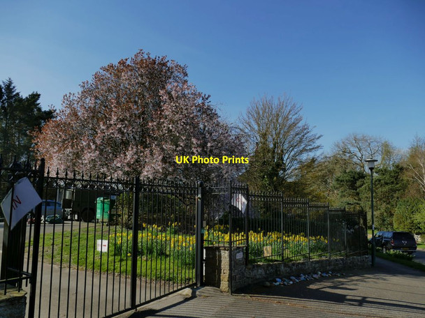 Photo 6"x4" School entrance, Follifoot Lane, Kirkby Overblow Kirkby Overblow c2021