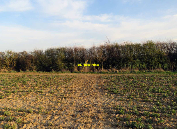 Photo 6"x4" Public Bridleway junction Teigh c2021