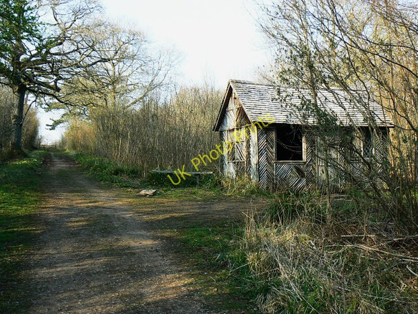 Photo 6"x4" Track and Building in Ravensroost Wood Minety c2009