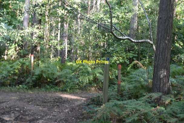 Photo 6"x4" Bridleway \/ footpath junction Colt's Hill c2020