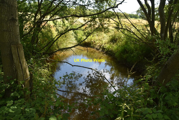 Photo 6"x4" Ditch crosses byway Burgh Hill\/TQ5412 c2020