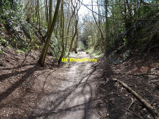 Photo 6"x4" Railway Path Wombourne c2021