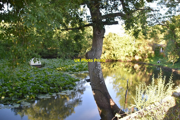 Photo 6"x4" Pond, Hever Hever c2020