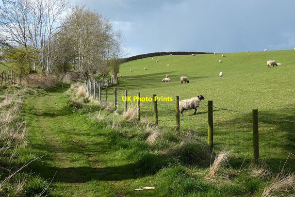 Photo 6"x4" Bridleway and pasture, Culgaith Crewgarth c2021
