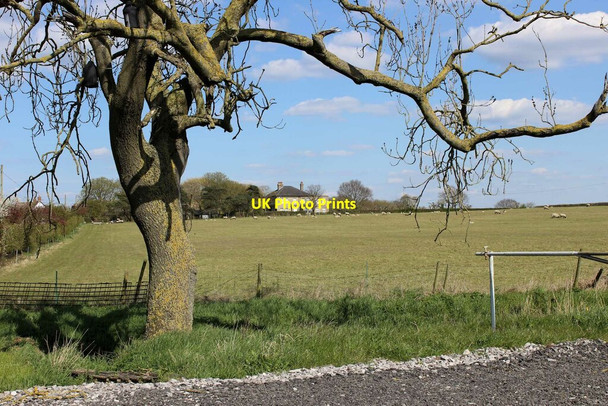 Photo 6"x4" Hill Farm, Lolworth Lolworth c2021