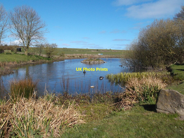 Photo 6"x4" The pond at Buckton Buckton\/TA1872 c2021
