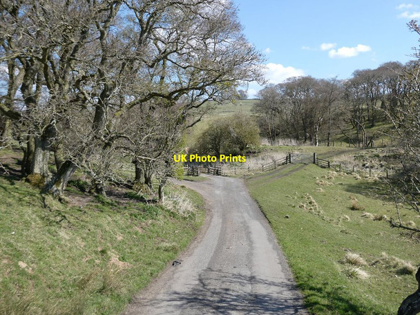 Photo 6"x4" Approach to the former Border Counties Railway Birtley\/NY8778 c2021