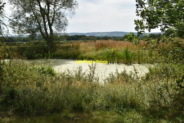 Photo 6"x4" Pond, Pekes Farm Burgh Hill\/TQ5412 c2020