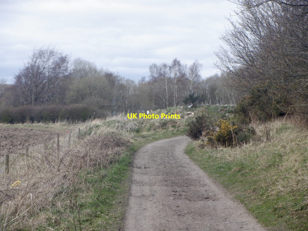 Photo 6"x4" Quarry Road Bryans c2021