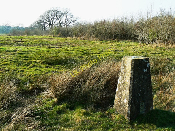 Photo 6"x4" Triangulation pillar and the edge of a bridleway, near Ravensroost Wood Minety c2009