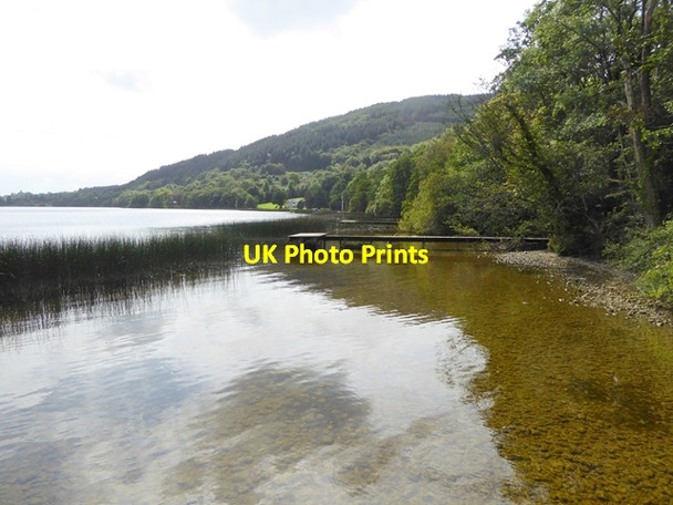 Photo 6"x4" Fishing platforms on Rinnamon Point Killaloe c2017 P1