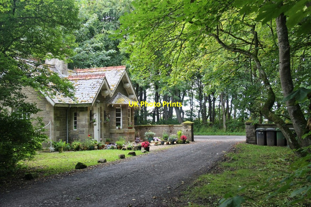 Photo 6"x4" The gate lodge at Barrock House Sortat c2017
