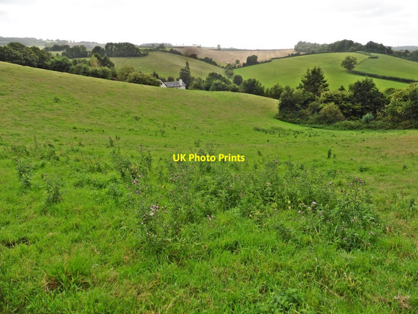 Photo 6"x4" Pasture above Hookway Crediton c2017
