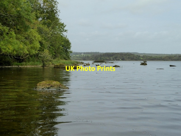 Photo 6"x4" Eastern shore of Inis Cealtra Mountshannon c2017