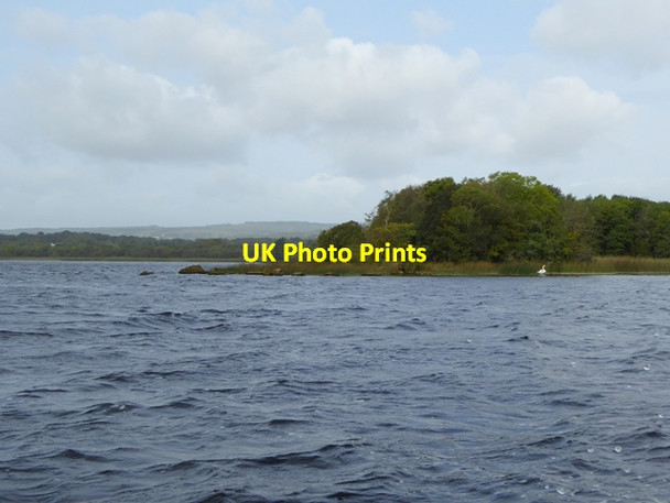 Photo 6"x4" Ryne Point Mountshannon c2017