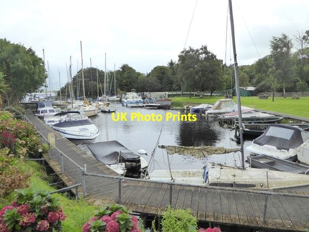 Photo 6"x4" The Marina at Garrykennedy Portroe c2017