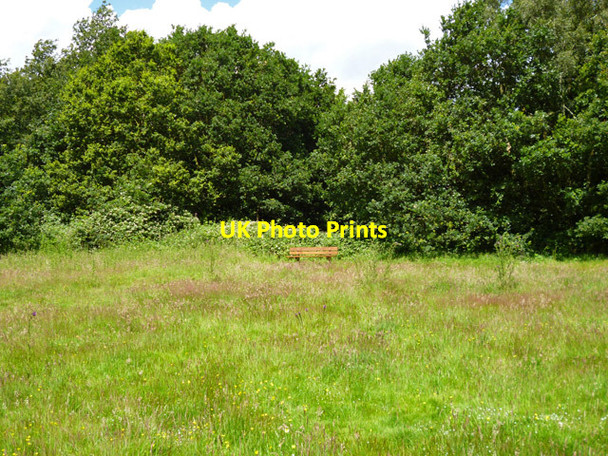 Photo 6"x4" Bench in Weald Country Park Coxtie Green c2012