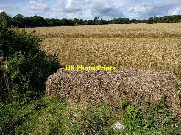 Photo 6"x4" Field entrance blocked by a bale of hay Kilmersdon c2017