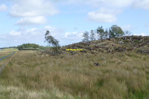 Photo 6"x4" Clear felling of hillock Great Wanney Crag c2017