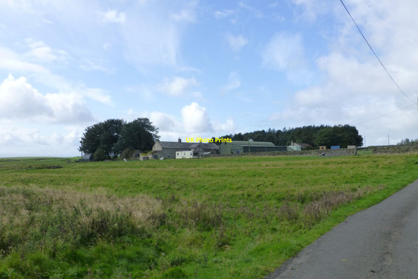 Photo 6"x4" North Heugh Thockrington c2017