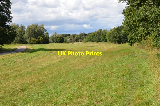 Photo 6"x4" Meadow close to Langford Maldon c2017