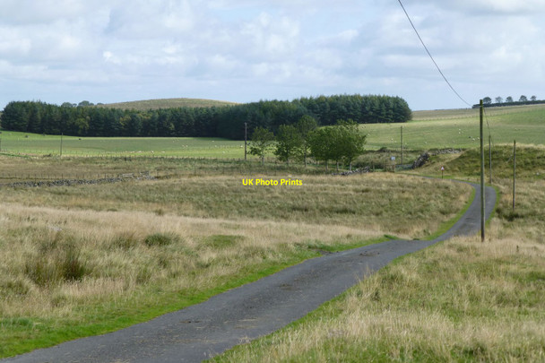 Photo 6"x4" Road and cattle grid Thockrington c2017