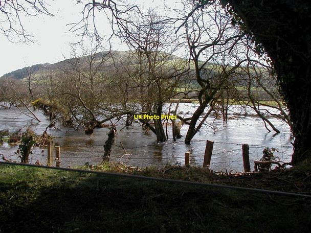 Photo 6"x4" Flooded Afon Rheidol Capel Dewi\/SN6282 c2002