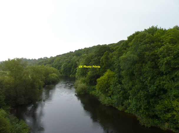 Photo 6"x4" The River Severn from the Severn Valley Railway Upper Arley c2017