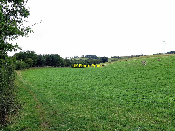 Photo 6"x4" Footpath near Gallowlaw Wooler c2017
