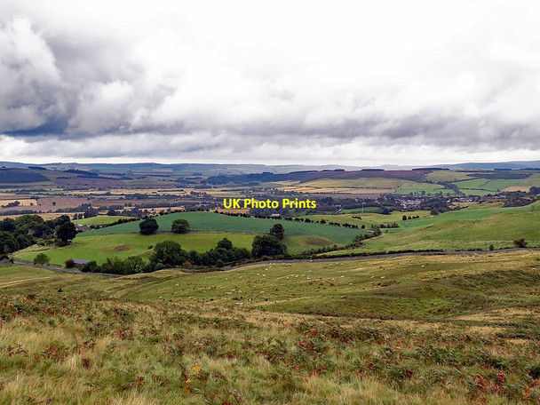 Photo 6"x4" East side of Humbleton Hill Wooler c2017