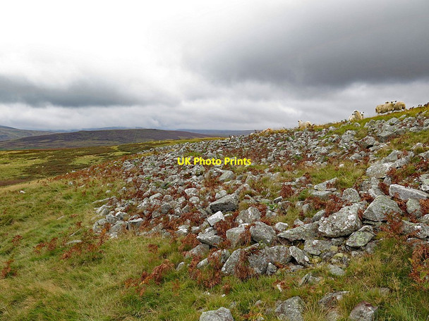 Photo 6"x4" Outer ramparts, Humbleton Hill Akeld c2017