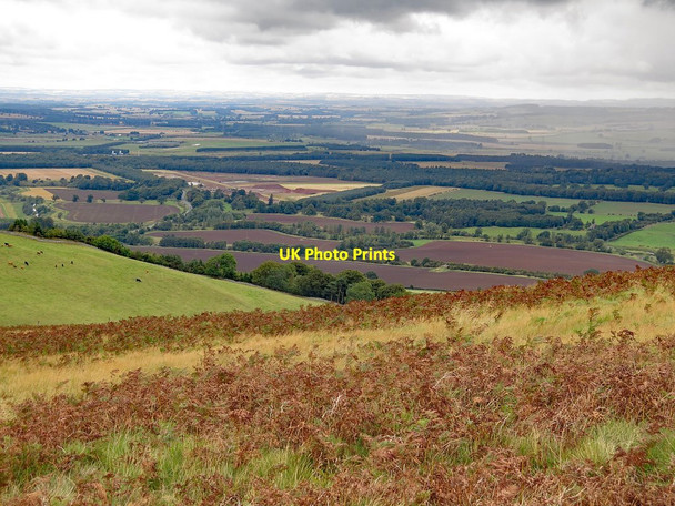 Photo 6"x4" Millfield Plain from Humbleton Hill Akeld c2017