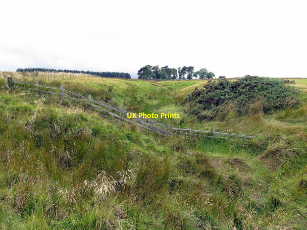 Photo 6"x4" Akeld Burn near Scald Hill Akeld c2017