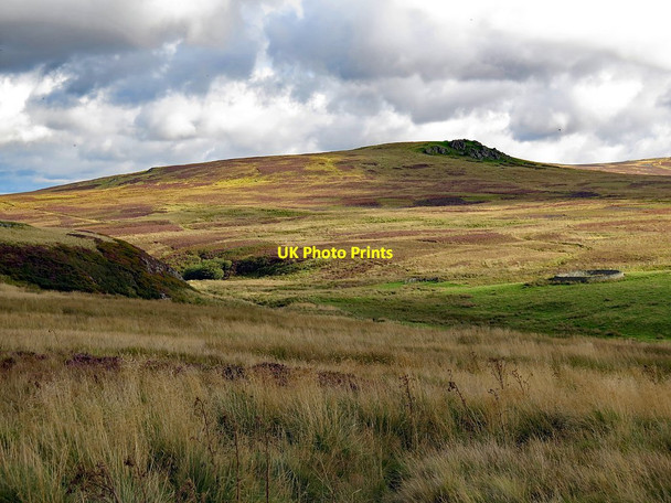 Photo 6"x4" Sheepfold east of Commonburn House Akeld c2017